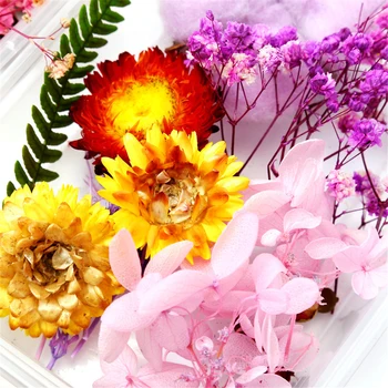 1 Kutija od Sušenog Cvijeća Prirodni Šarene Biljka DIY Carft Materijali rođendanski Poklon Festival Vjenčanja Dekoracija Za Zurke Kućni Dekor 2