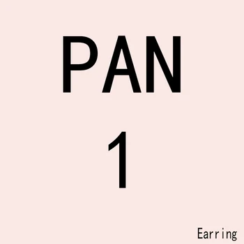 PAN 1